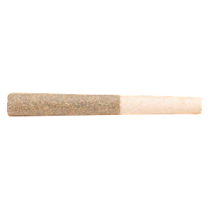 Cheers Cannabis - Pomelo Soda Pre Roll