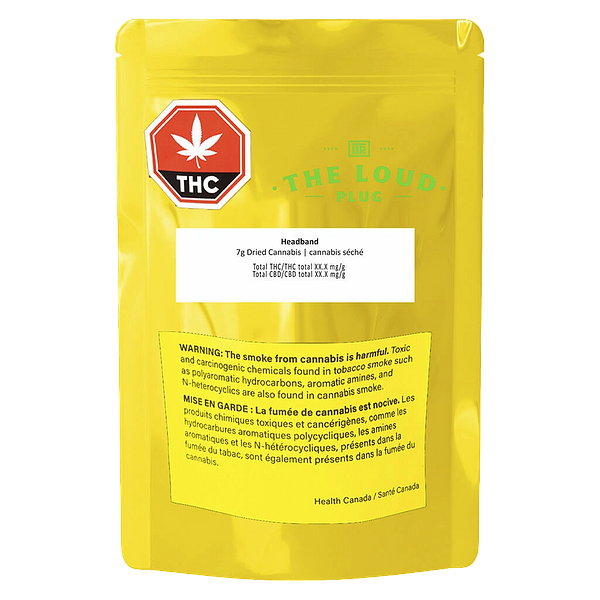 The Loud Plug - Headband