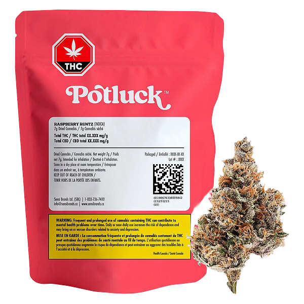 Potluck - Raspberry Runtz