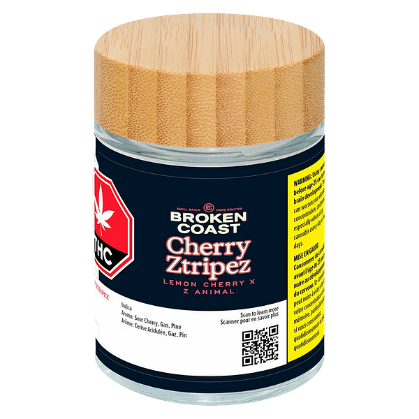 Broken Coast - Cherry Ztripez