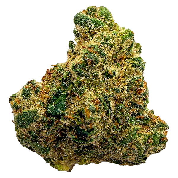 Pepe Everyday - Northern Lights