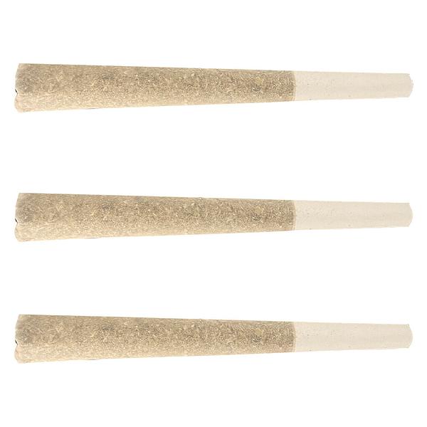 Seeker - Fool's Gold Pre Roll