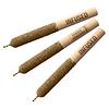 General Admission - Peach Mango Hi-Fi Infused Pre-Roll thumbnail 1