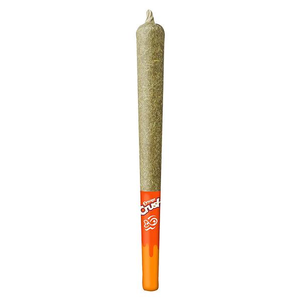 DiscoFSH - Orange Crush 44's Infused Pre Roll image 1