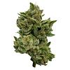 Deelish - Pretty Sweet Sativa thumbnail 1