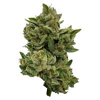 Deelish - Pretty Sweet Sativa