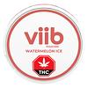 Viib - Watermelon Ice 4:1 THC:CBG Oral Pouches thumbnail 2