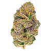 Kingston Cannabis Inc. - Montreal St 14's thumbnail 1