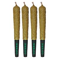 Coterie - Double Infused Sour Apple Pre Roll