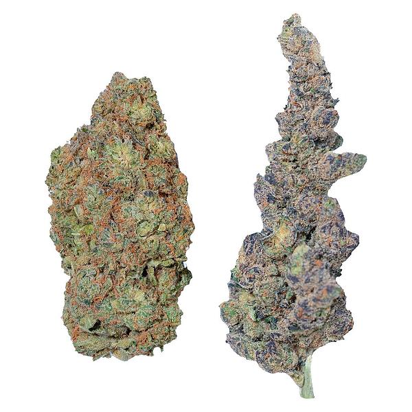 Purple Hills - Purple Hills Presents image 1