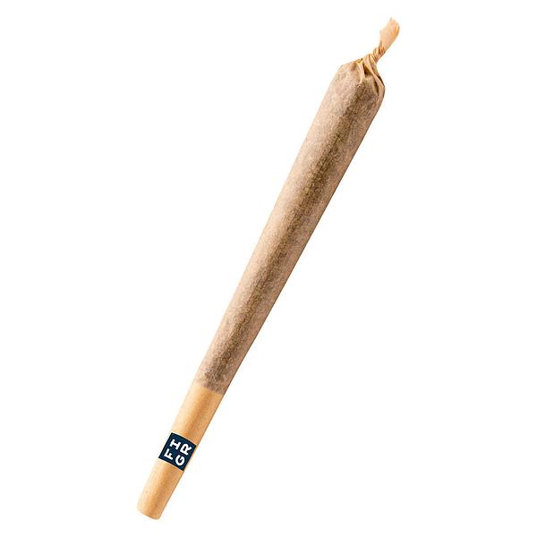 FIGR - Golden Hour Pre Roll