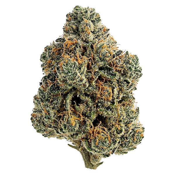Tiki Madman - Breeders Stash
