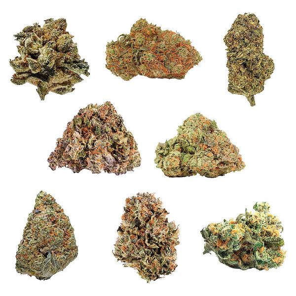 Potluck - Mix n Zip Variety OZ