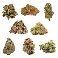 Potluck - Mix n Zip Variety OZ