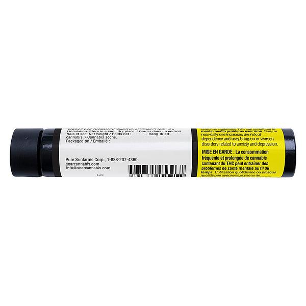 Soar - C99 Haze Pre-Rolls