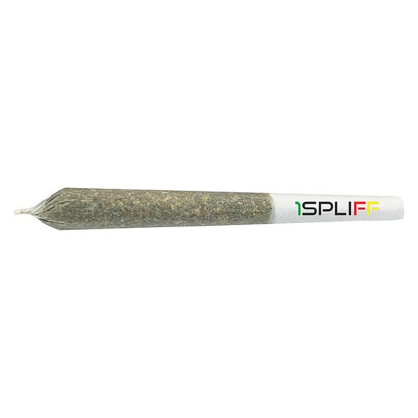 1Spliff - Indica Pre Roll