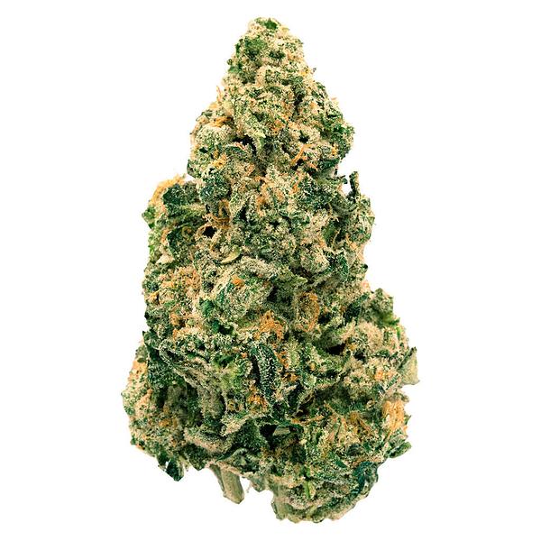 Back Forty - Galactic Jack