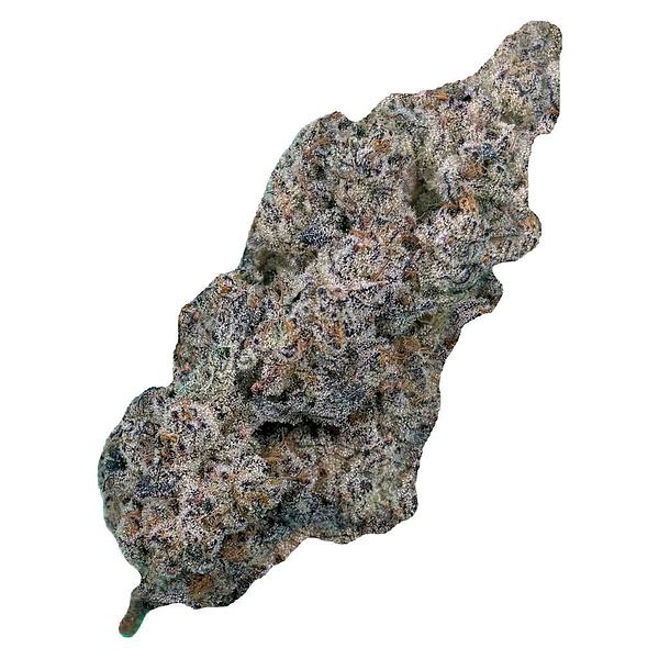 Cultures Chloris - Truffaloha