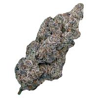 Cultures Chloris - Truffaloha