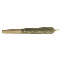 Dazed N' Confused - Frozen Black Cherry Pre Roll