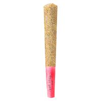 The Loud Plug - Drippyz Dragonfruit Rntz Infused Pre Roll