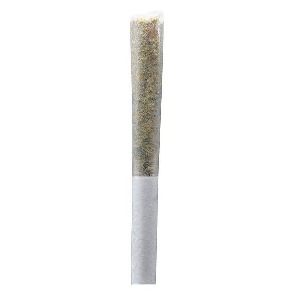 Ono - Permanent Gusher Pre Roll