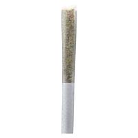Ono - Permanent Gusher Pre Roll