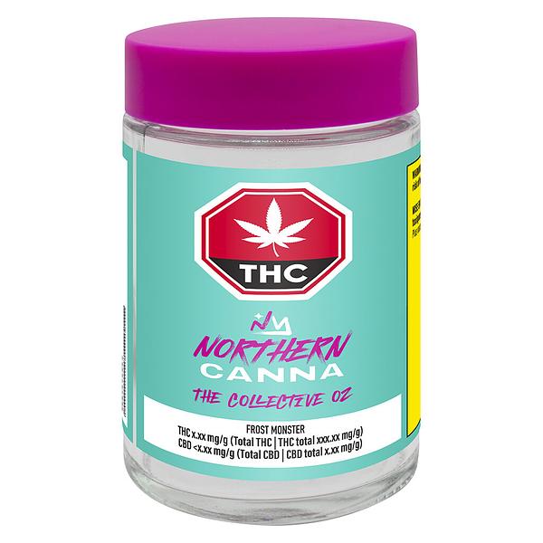 Northern Canna - Frost Monster