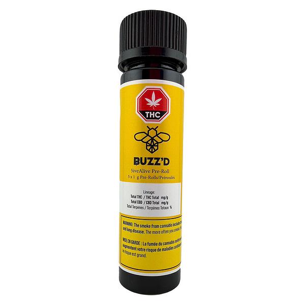 Buzz'd - 5ivealive Pre Roll