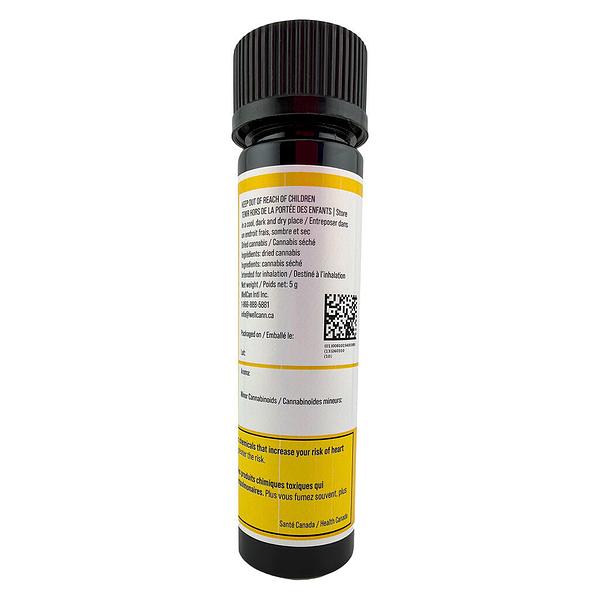 Buzz'd - 5ivealive Pre Roll