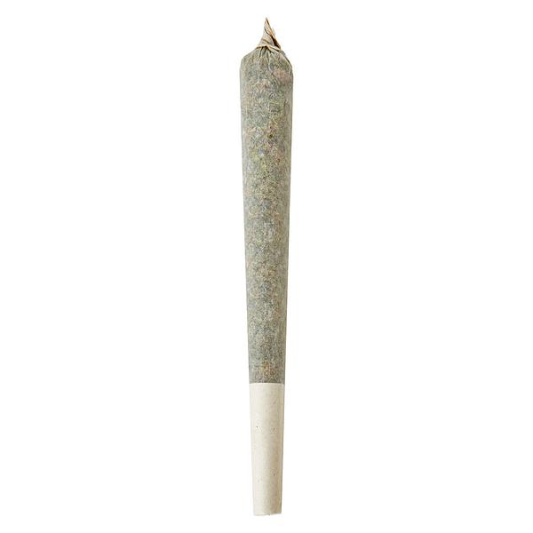 Shed Boys - Lemon Rush Double Infused Pre Roll
