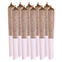 Station House - Summer Legacy Variety Pack Pre-Roll