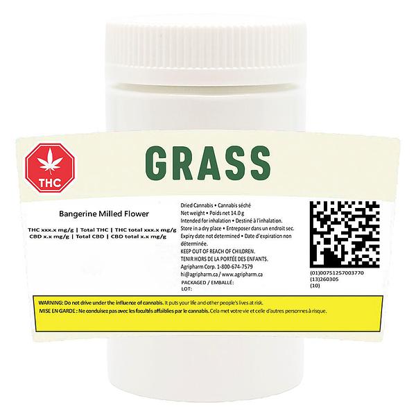 Grass - Bangerine