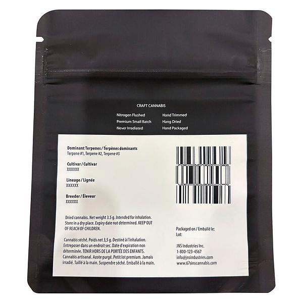 Sixty Seven Sins - Gary Satan image 3