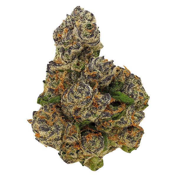 Buzz'd - Buzz'd Og image 1