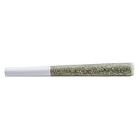WAZA VIBE - Vibes Pre Roll