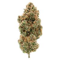 Simply Bare - BC Organic Tangerine Sunrise