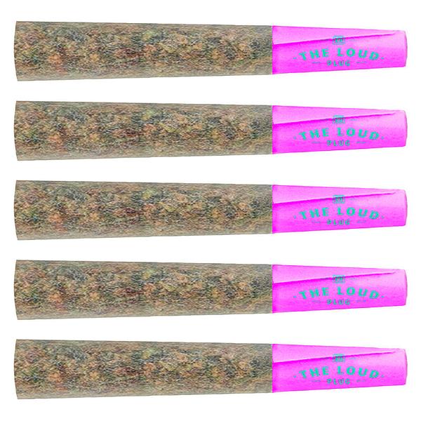 The Loud Plug - Purple Rain Pre Roll