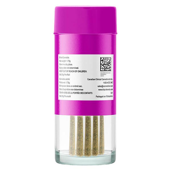 The Loud Plug - Purple Rain Pre Roll