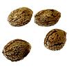 Clone Collector Seed Bank - Apple Truffle Breath - Feminized Seeds thumbnail 1