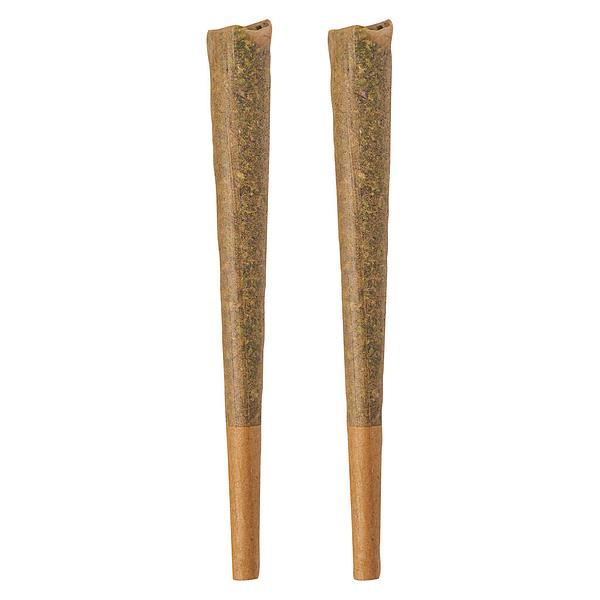 BOLD GLAZED - Indica Pre-Roll