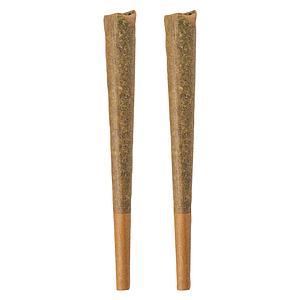 BOLD GLAZED - Indica Pre-Roll