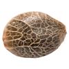 34 Street Seed Co. - Bubba Kush Seeds thumbnail 1