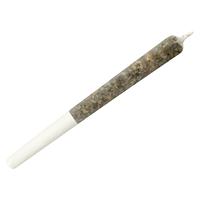 Dime Bag - Wildcat Serum Pocket Rockets Infused Pre Roll