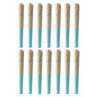 The Loud Plug - Sticky Bunz Pre Roll