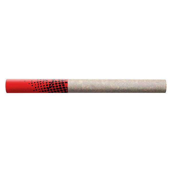 Big Bag O' Buds - Tropicanna Tangie Tube Style Pre Roll