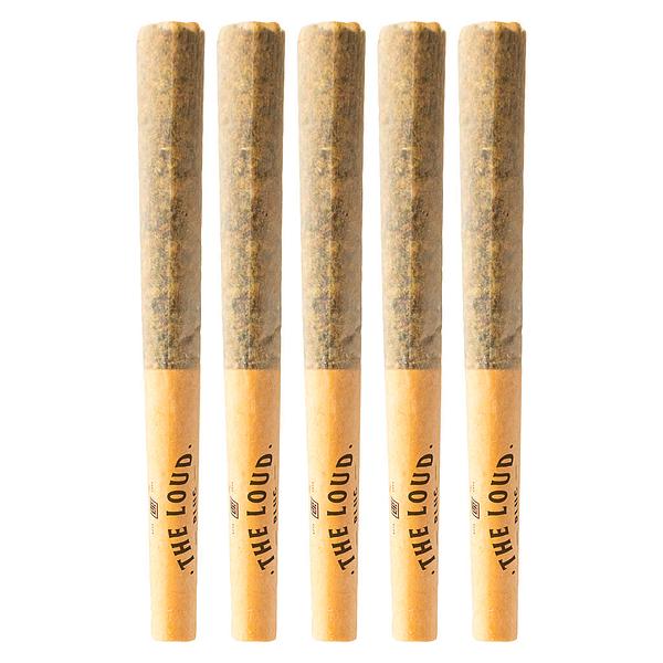 The Loud Plug - With Love From Scarbourough Pre Roll