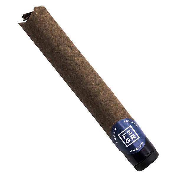 FIGR - Chatty Kathy Premium Glass Tip Blunt Pre Roll