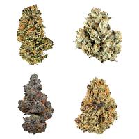 Potluck - Canada Collection Variety Ounce