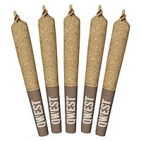 Qwest 35's - Morning Sun Pre-Rolls